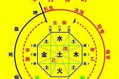 金水八字|八字喜金水：健康養生攻略